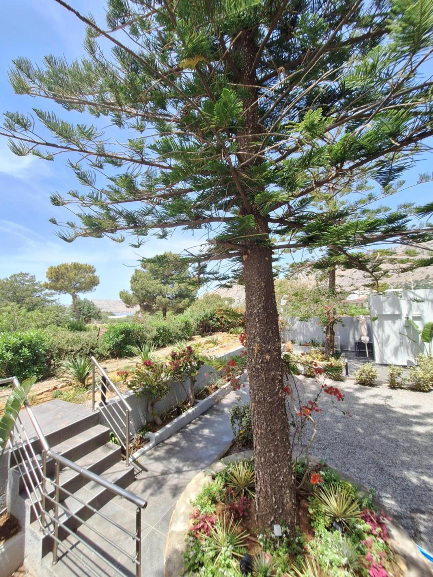 Apartament George *